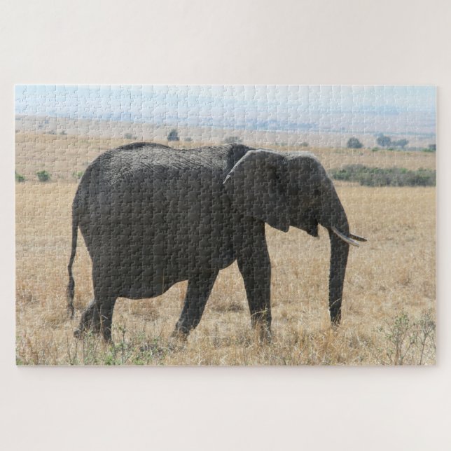 Quebra-cabeça caminhada elefante (Horizontal)