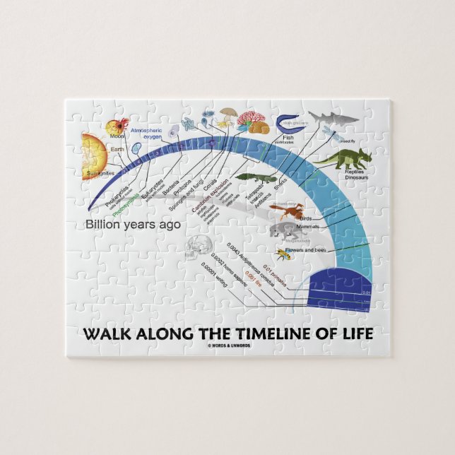 Quebra-cabeça Caminhe ao Longo da Linha do Tempo da Evolução Bio (Horizontal)