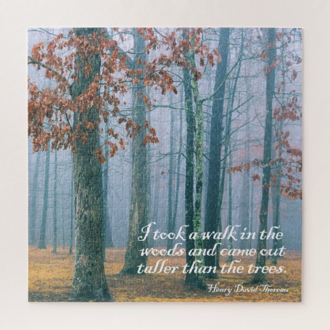 Quebra-cabeça Caminhe na floresta - 20x20 - 676 pcs. (Vertical)