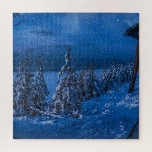 Quebra-cabeça Caminho das florestas na noite de inverno