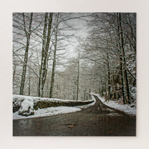Quebra-cabeça Caminho para Dreamland - Floresta alemã - 20x20-67