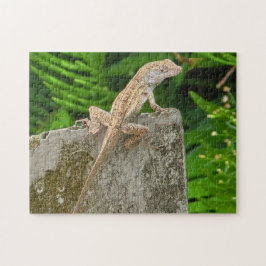 Quebra-cabeça Camouflage Master