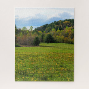 Quebra-cabeça Campo das flores
