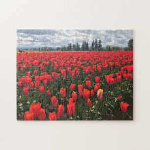Quebra-cabeça Campo de Ballerina Tulips, Oregon