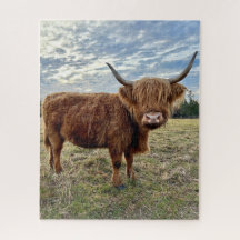 Campo de Fazenda do planalto escocês