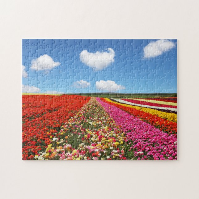 Quebra-cabeça Campo de Flores (Horizontal)
