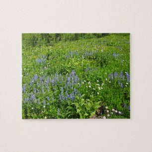 Quebra-cabeça Campo de flores silvestres no Monte Rainier