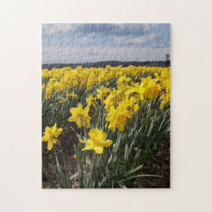 Quebra-cabeça Campo de Foto de Daffodils Amarelos