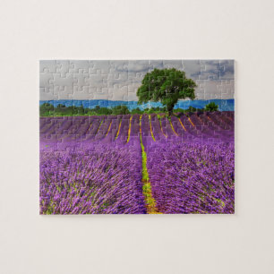 Quebra-cabeça Campo de lavanda cênico, França