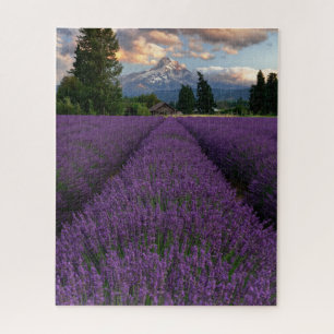 Quebra-cabeça Campo de Lavanda de Oregon Superolhando o Monte Ho