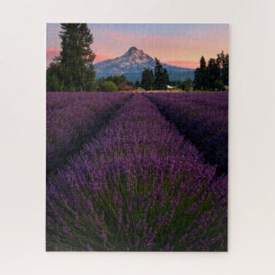 Quebra-cabeça Campo de Lavanda de Oregon Superolhando o Monte Ho