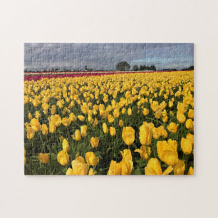 Quebra-cabeça Campo de Tulipas Amarelo e Vermelho, Oregon