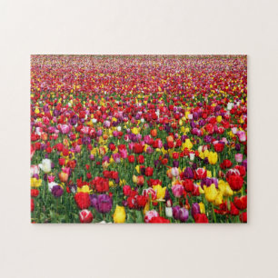 Quebra-cabeça Campo de tulipas coloridos