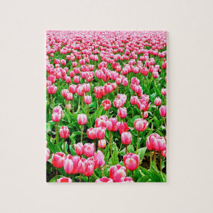 Quebra-cabeça Campo de tulipas cor-de-rosa