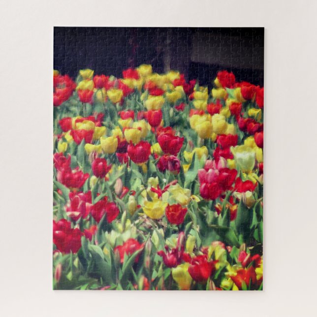 Quebra-cabeça Campo de Tulipas Vermelho e Amarelo (Vertical)