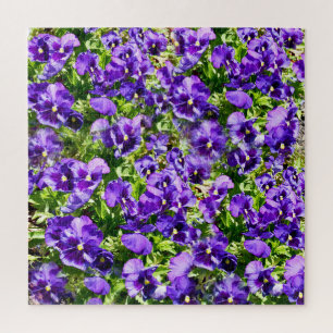 Quebra-cabeça Campo Pansy Roxo,