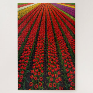 Quebra-cabeça Campos Coloridos de Tulipas