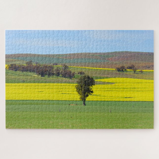 Quebra-cabeça campos de canola (Horizontal)