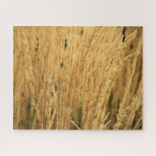 Quebra-cabeça Campos de trigo do ouro - 16x20 - 520 pcs.