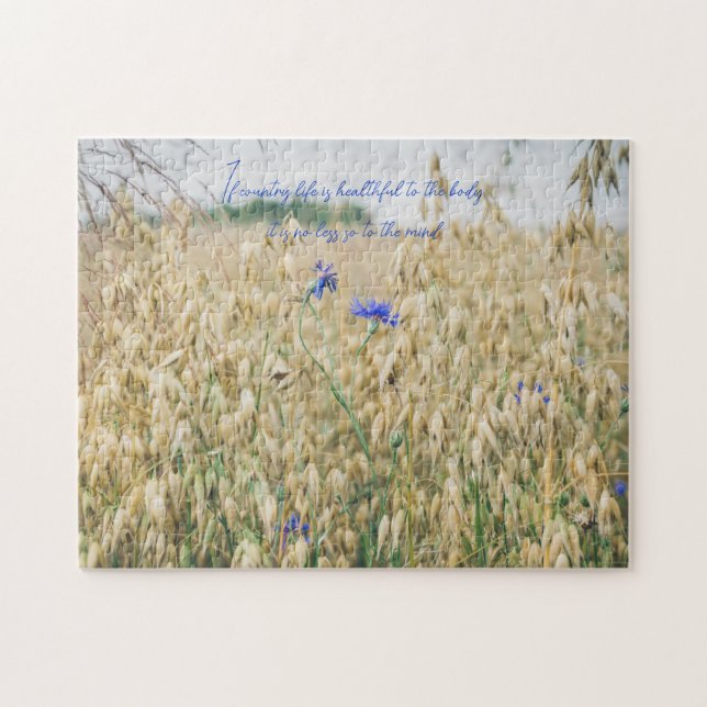 Quebra-cabeça Campos de Verão solares (Horizontal)