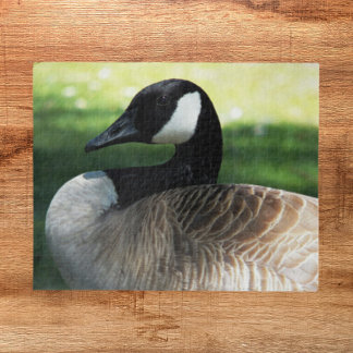 Quebra-cabeça Canadá Foto de Wildlife