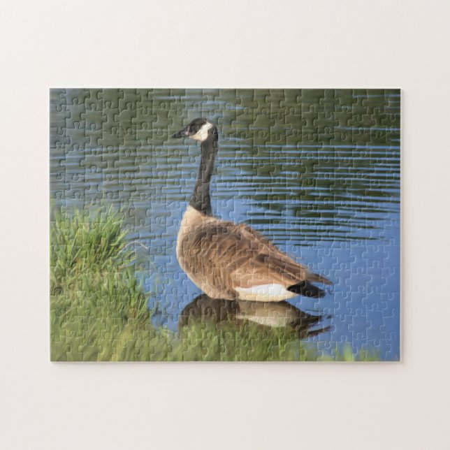 Quebra-cabeça Canada Goose In Water Oil Painting  (Horizontal)