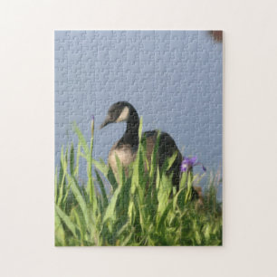 Quebra-cabeça Canadá Goose Irrisa Pintura de Arte Natural