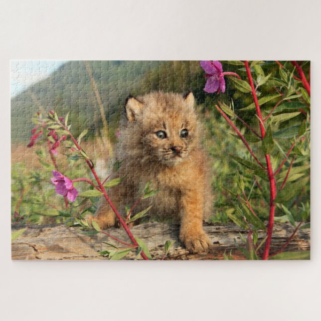 Quebra-cabeça Canada Lynx Kitten, Alaska (Horizontal)
