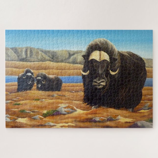 Quebra-cabeça Canadianos de Arte Selvagem - Muskox (Horizontal)