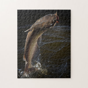 Quebra-cabeça Canal Nocturno Catfish Nature Fotografia