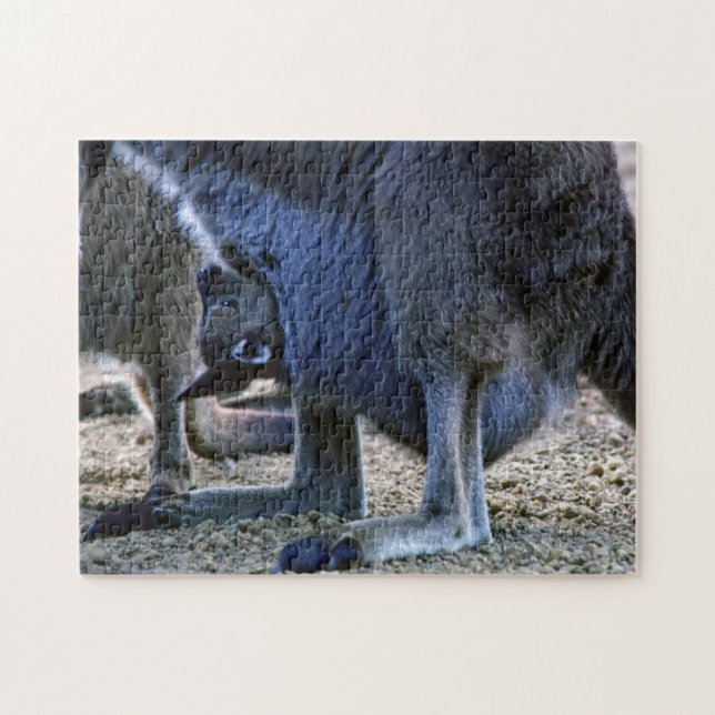 Quebra-cabeça Canguru do bebê no malote da mãe - Austrália (Horizontal)