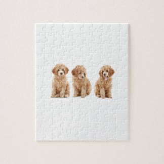 Quebra-cabeça Caniches