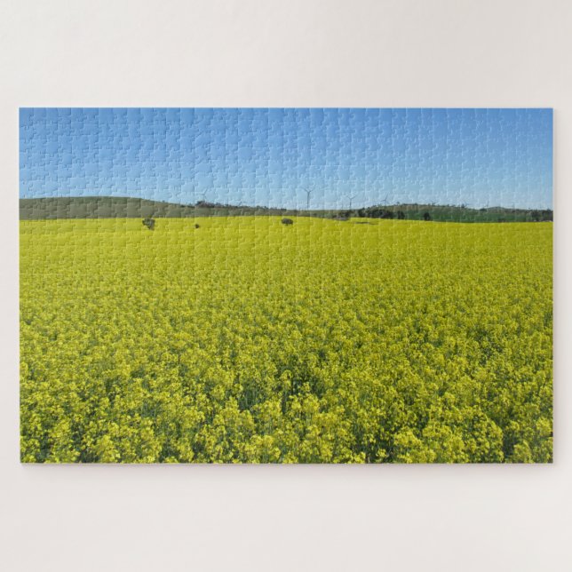 Quebra-cabeça canola amarela (Horizontal)