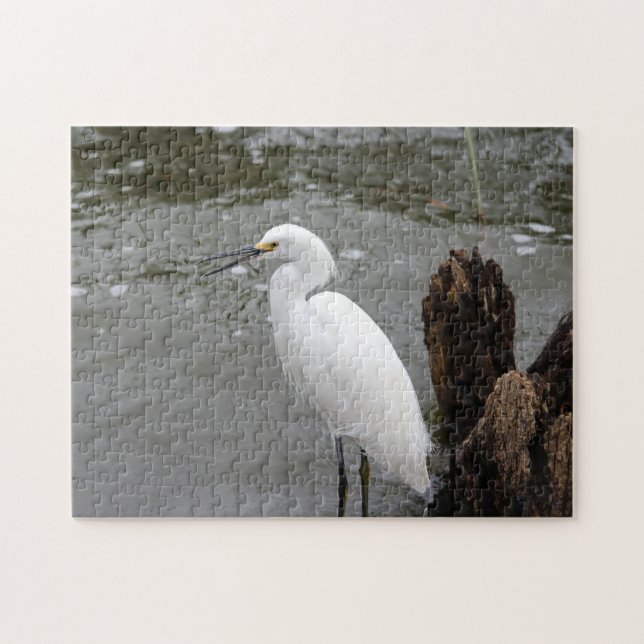 Quebra-cabeça Cantando Snowy Egret (Horizontal)