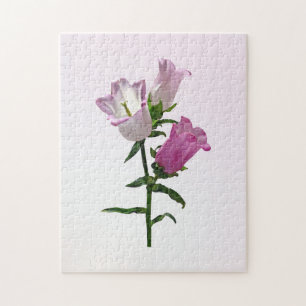 Quebra-cabeça Canterbury Bells Rosa