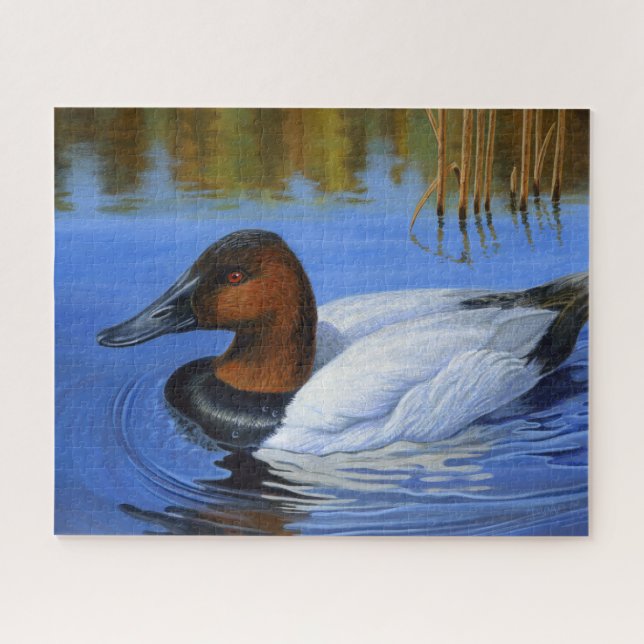 Quebra-cabeça Canvasback Duck Nadando, Leeds, Pintura Acrínica (Horizontal)