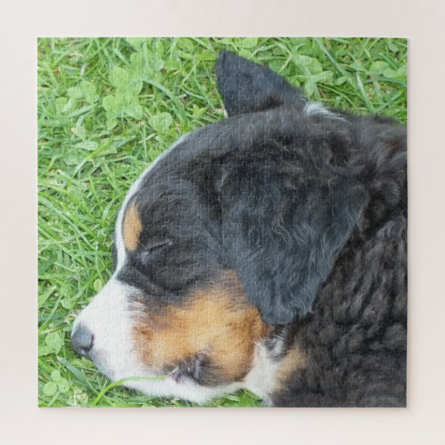 Quebra-cabeça cão, animal, raça, quebra-cabeça, cachorrinho, (Vertical)