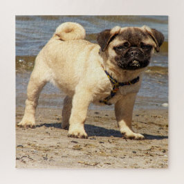 Quebra-cabeça cão, animal, raça, quebra-cabeça, cachorrinho,