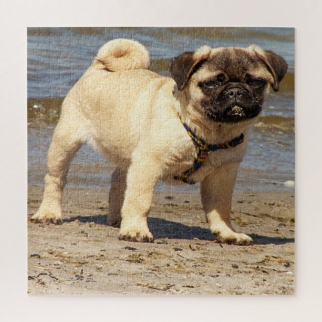 Quebra-cabeça cão, animal, raça, quebra-cabeça, cachorrinho, (Vertical)