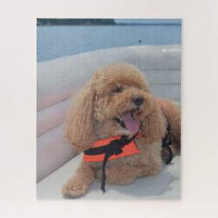 Quebra-cabeça Cão bonito de Cockapoo com veste de vida