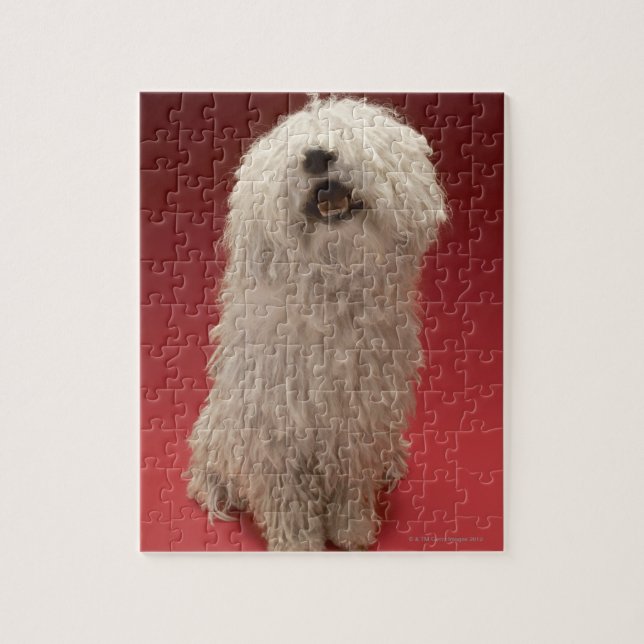 Quebra-cabeça Cão bonito de Komondor (Vertical)