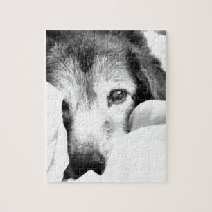 Quebra-cabeça cão-cachorrinho sonolento na cama preto branco