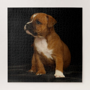 Quebra-cabeça Cão Cachorro Cachorro Inglês Staffordshire Bull Te