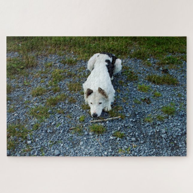Quebra-cabeça Cão com vara (Horizontal)