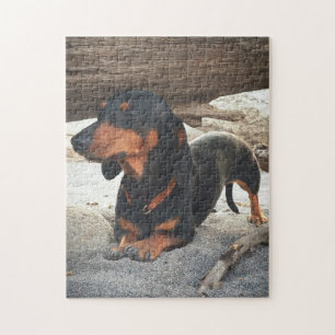 Quebra-cabeça Cão da ioga