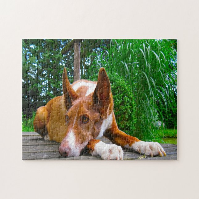 Quebra-cabeça Cão da Raça Pharaoh. (Horizontal)