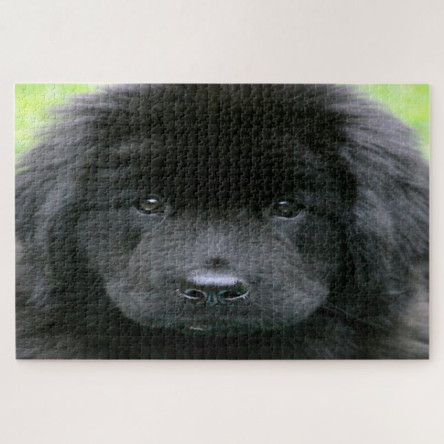 Quebra-cabeça Cão da Terra Nova. (Horizontal)
