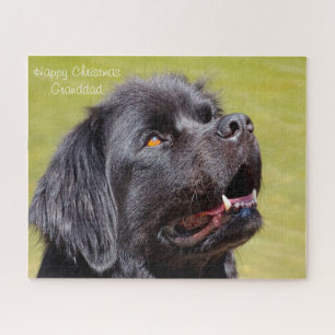 Quebra-cabeça Cão da Terra Nova.