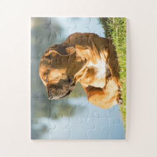 Quebra-cabeça Cão-de-bico-cômoda