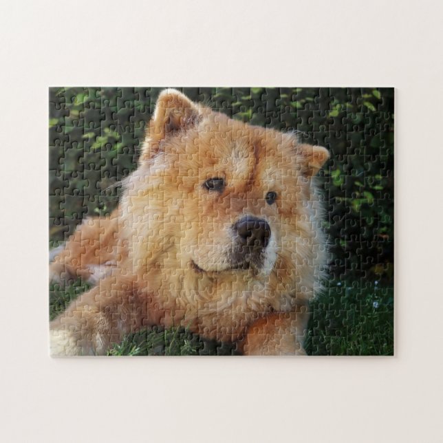 Quebra-cabeça Cão de Chow Chow (Horizontal)